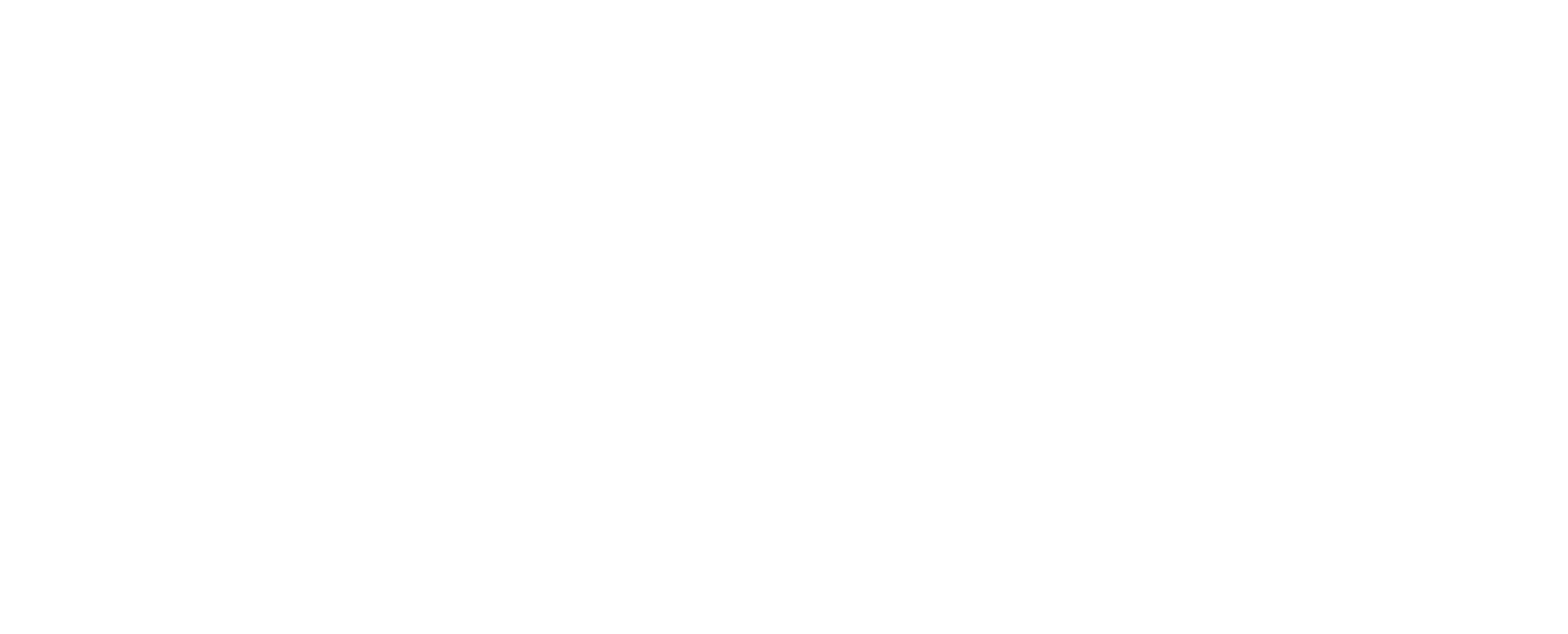 Imotion Analytics - The best biometric person counter system with gender, age, ethnicity and customer experience analytics